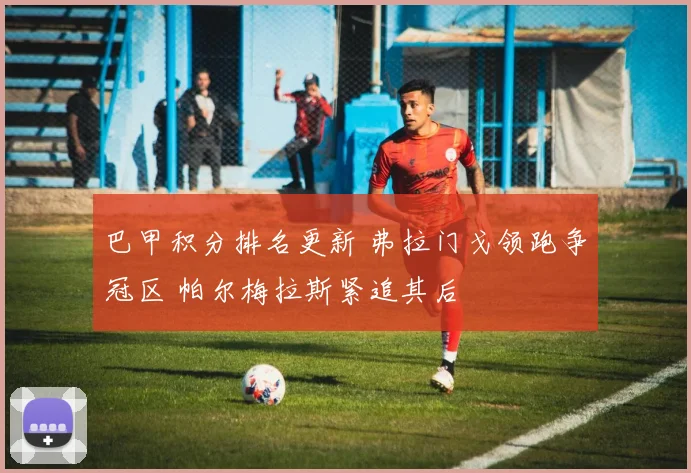 巴甲积分排名更新 弗拉门戈领跑争冠区 帕尔梅拉斯紧追其后