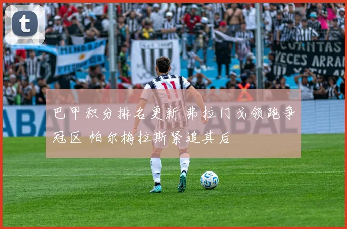 巴甲积分排名更新 弗拉门戈领跑争冠区 帕尔梅拉斯紧追其后